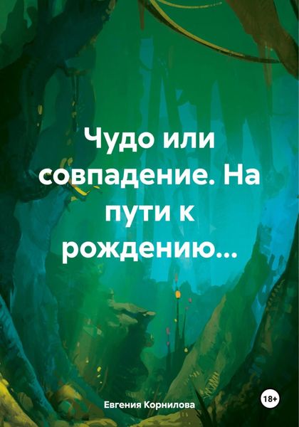 Обложка книги  «Чудо или совпадение. На пути к рождению…»
