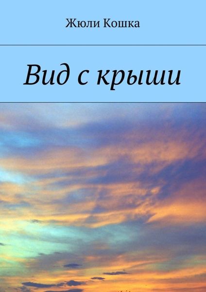 Обложка книги  «Вид с крыши»