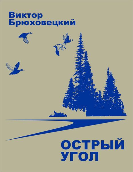 Обложка книги  «Острый угол»