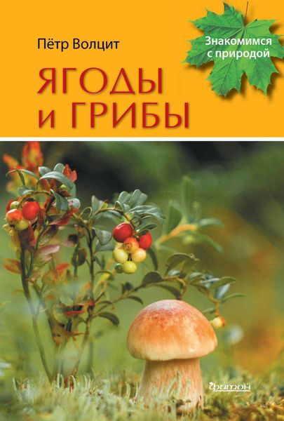 Обложка книги  «Ягоды и грибы»