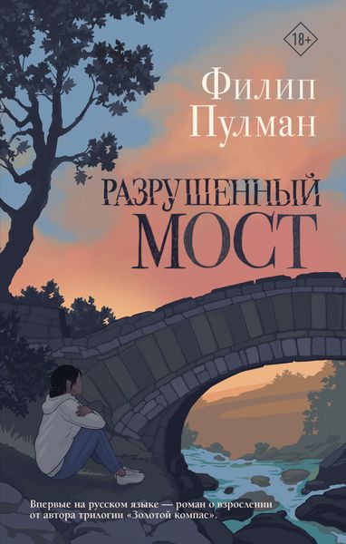 Обложка книги  «Разрушенный мост»