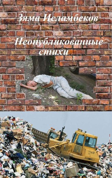 Обложка книги «Неопубликованные стихи»
