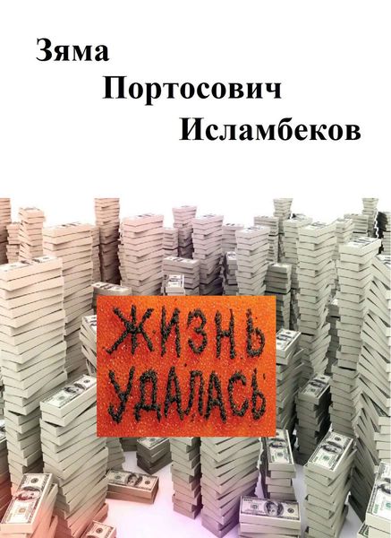 Обложка книги  «Жизнь удалась»